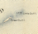 The Death Of Little Gull Island - Article written by By Arthur S Nichols June 1978